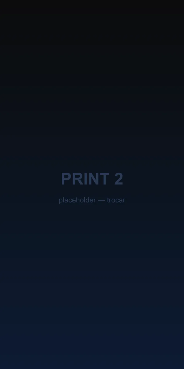 Print de resultado — cliente 2